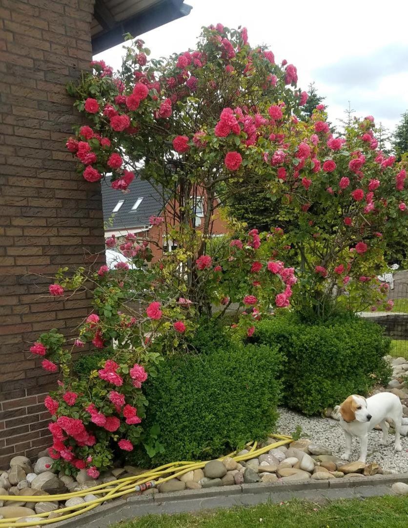 Ferienwohnung Aurich Ostfriesland Екстер'єр фото